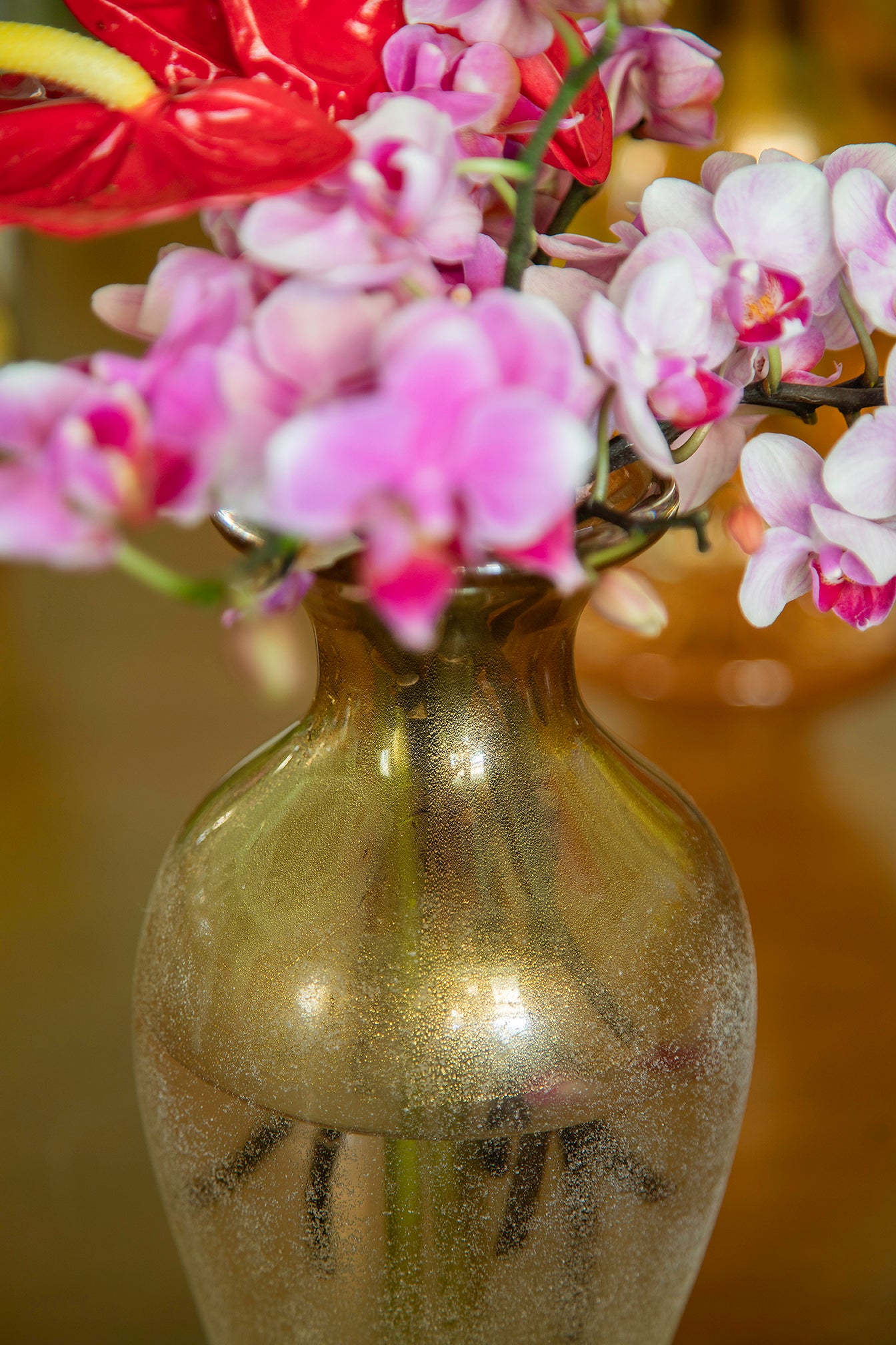 PB  Vaso San Domenico