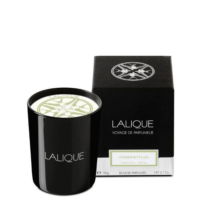 Vela Perfumada Osmanthus, Himalaia - Nepal