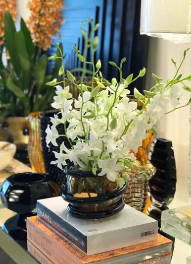 CH Centro Cordone Mini