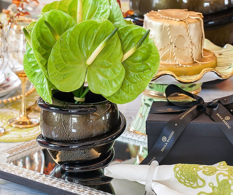 CH Centro Cordone Mini