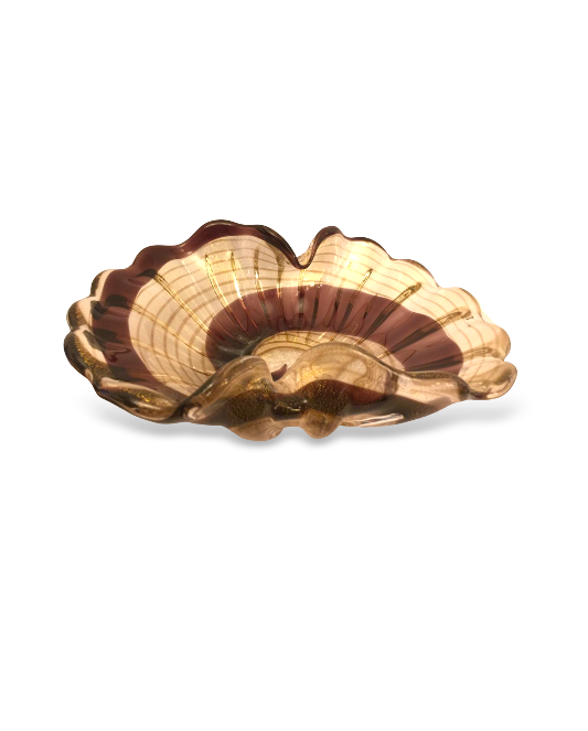 Bowl Filli Caracol